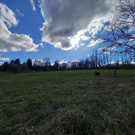 Les hauts de Meez Dinant Buitenkant foto